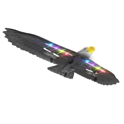 2.4G RC 비행 독수리 전기 EPP RC 비행기 RTF 원격 제어 비디오 캡처 해상도 카메라가 없습니다