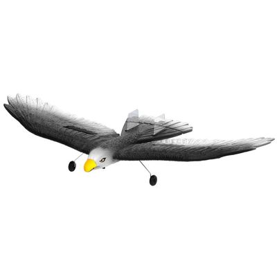 전기 Rc Eagle Epp Foam 비행기 LED 조명과 3.7V 300mAh 리포 배터리 200m 제어 거리에 있는 아이들을 위해