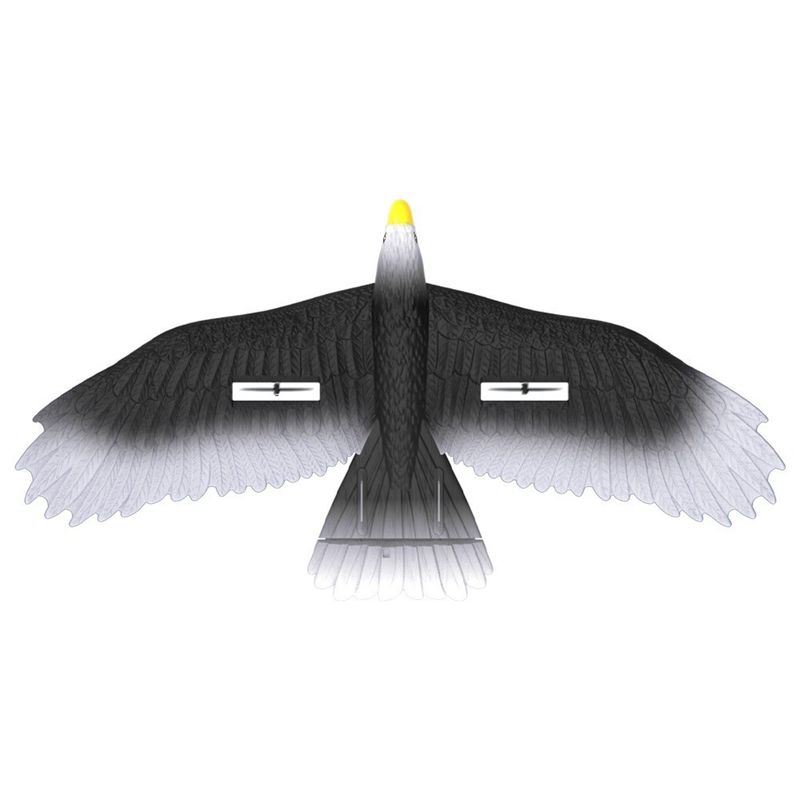 3 Led Light Easy Play 56cm Epp Material Electric Rc Eagle Glider with Remote Outdoor Play for the Whole Family 3 레드 라이트 쉬운 플레이 56cm Epp 재료 전기 Rc 독수리 플라이더